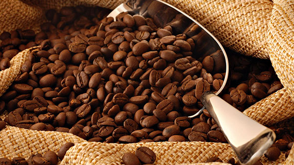 加拿大咖啡豆进口清关流程（北京咖啡豆进口报关公司）