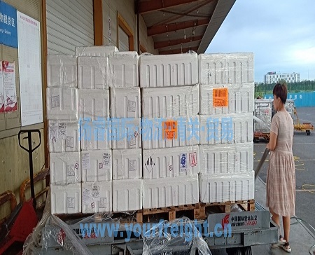 土耳其冻海参进口清关_代理报关|进口清关|国际物流|国际运输|国际货运代理|北京扬睿国际货运代理有限公司