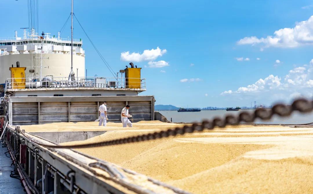 粮食进口流程全步骤（食品进口报关代理公司）