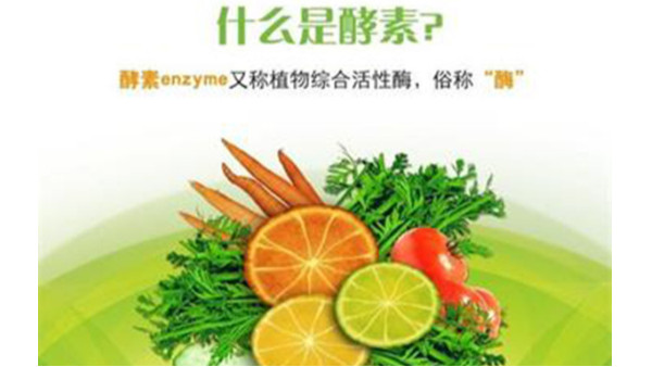 酵素进口报关流程及资料要求