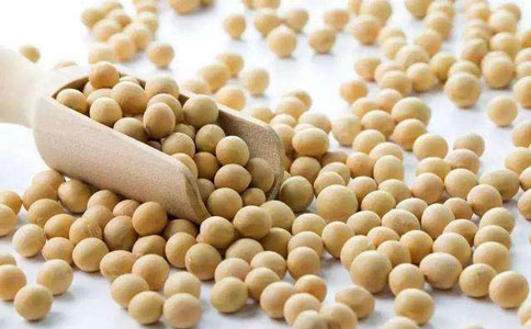 食用豆类进口报关流程及检疫要求